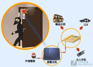 2010年家用監(jiān)控攝像頭與網絡設備零售市場分析